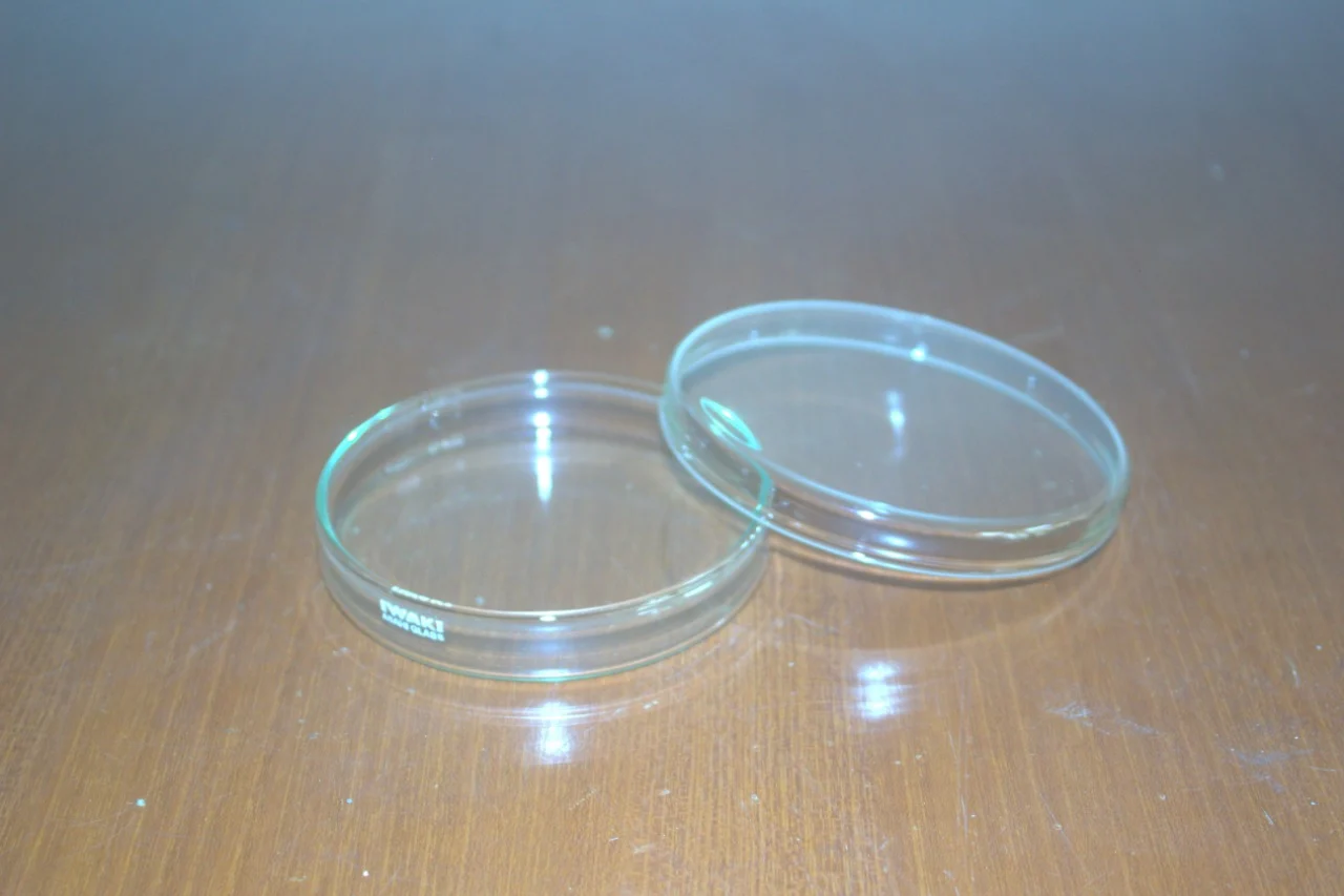 Petri Dish Kaca IWAKI 90 mm